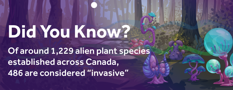 invasive-plant-species-in-Canada-Freightcom