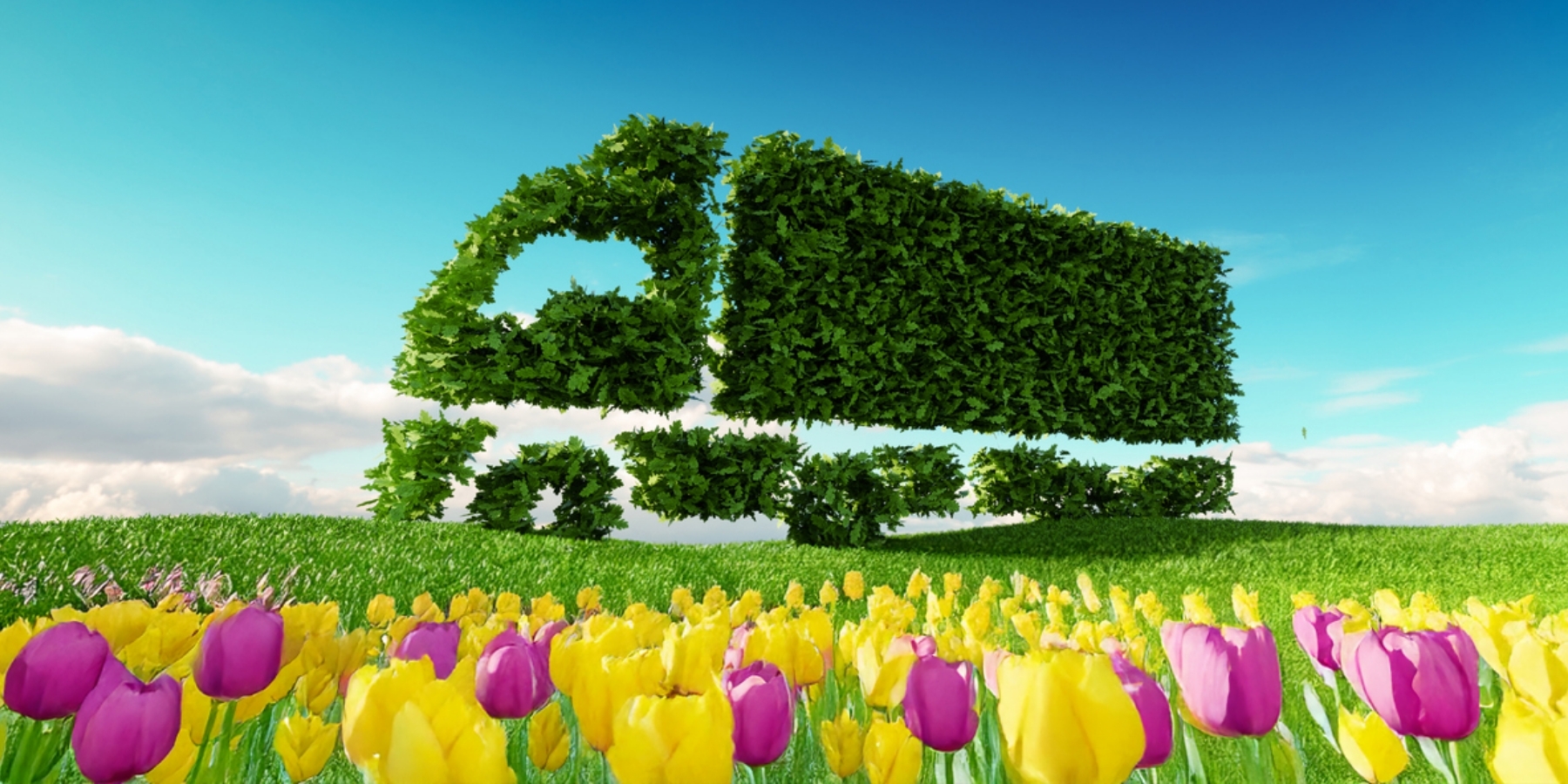 FC - Save on Shipping This Spring Blog Header