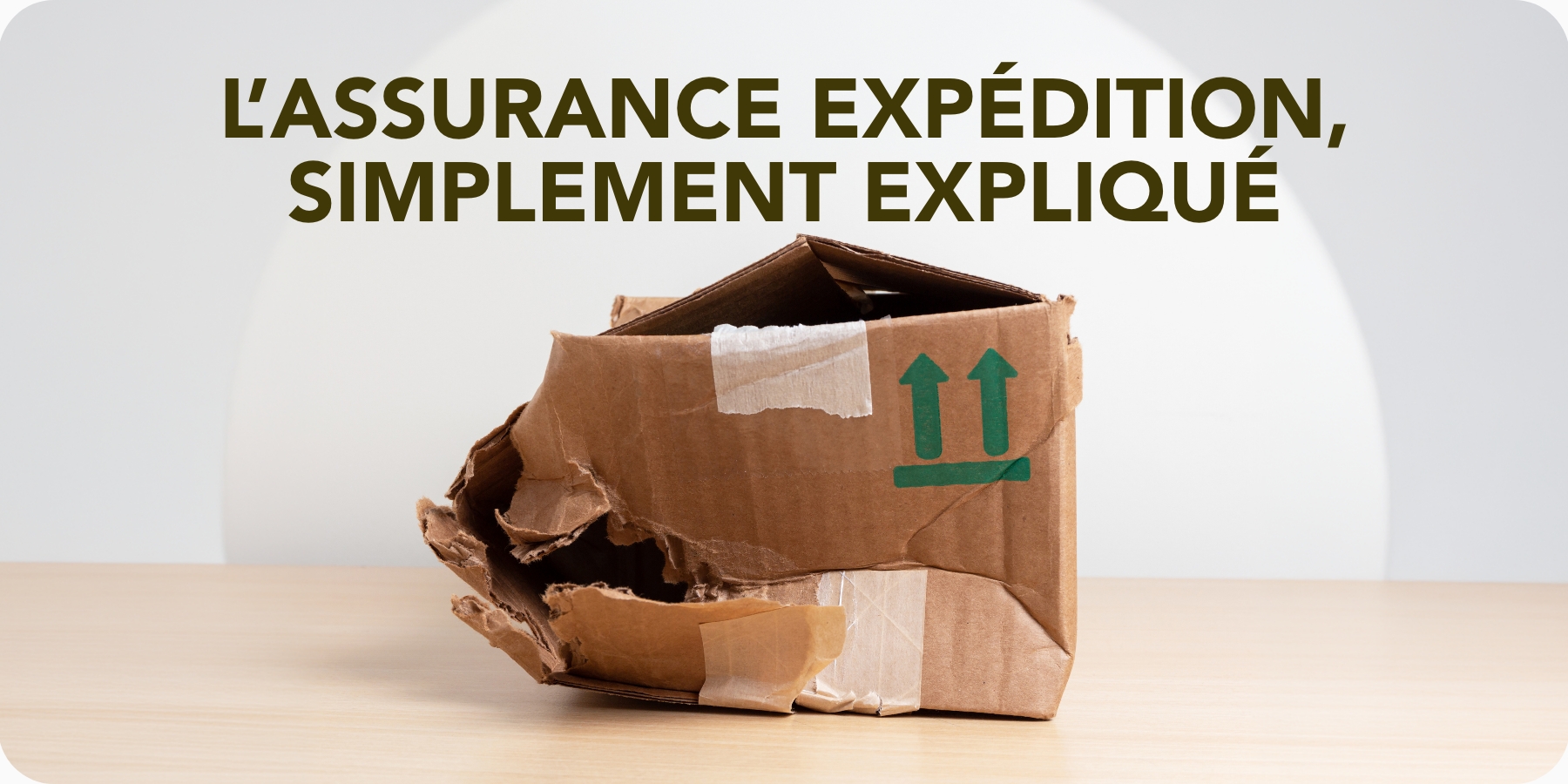 FC FR Shipping Insurance Basics What It Covers and When It’s Worth It Email