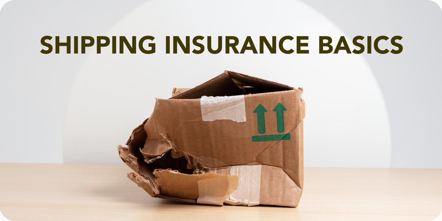 FC Shipping Insurance Basics What It Covers and When It’s Worth It Email 1
