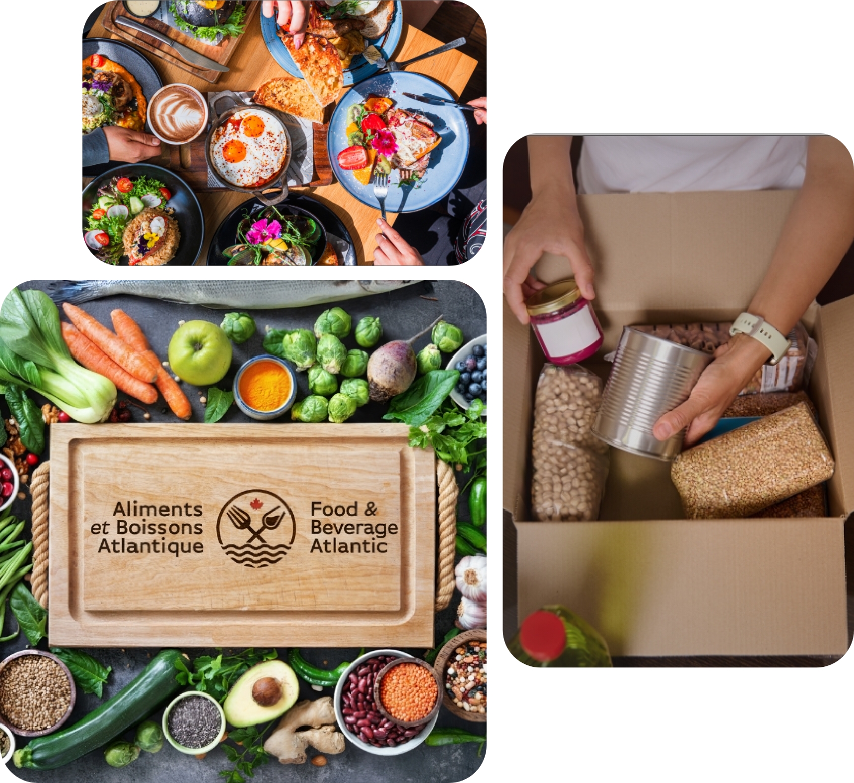 The All-in-One Shipping Solution for Every Business 1