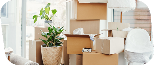 International Parcel Shipping Services