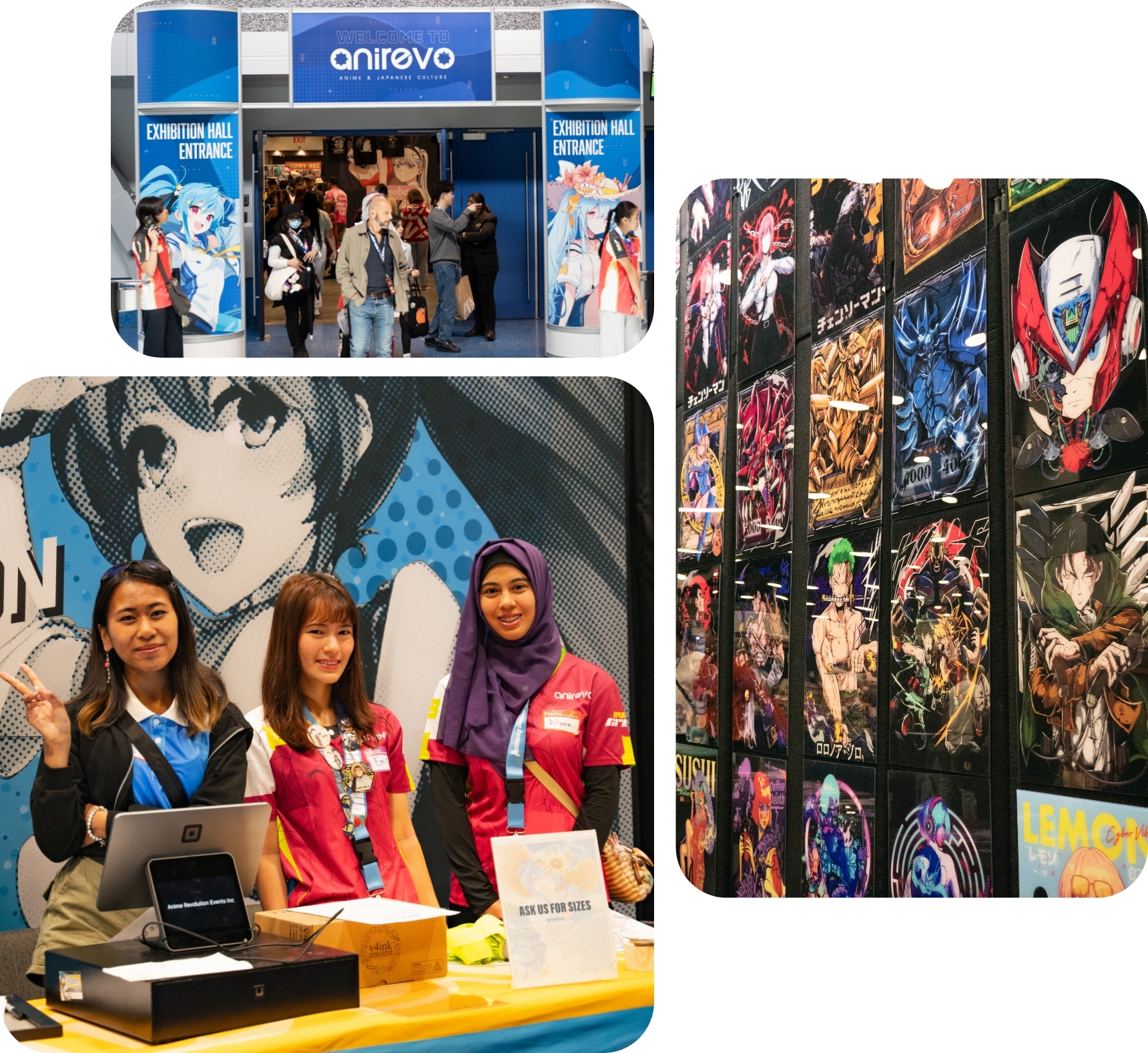 Collage of three images highlighting AniRevo.