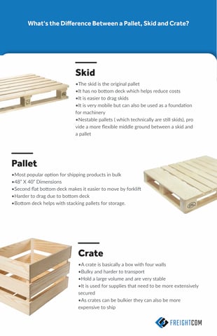 pallet skid infografica